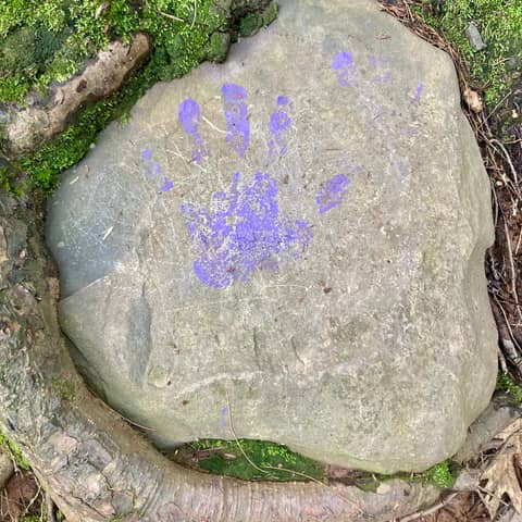 Leaving No Trace: Outdoor Ethics with Moe Lemire