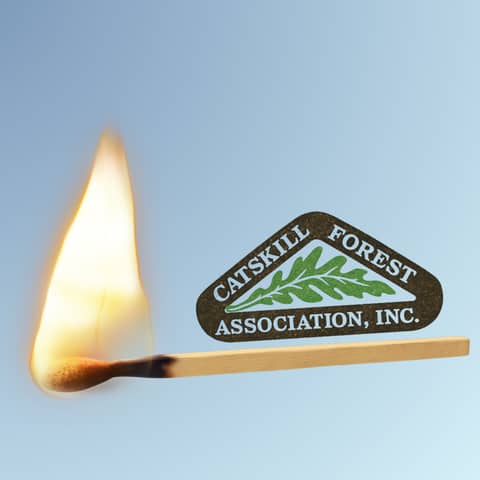 Prescribed Fire 🔥 for Forest Health and Biodiversity