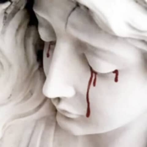 Wounds of Wonder: The Divine, the Damned, and the Body That Bleeds