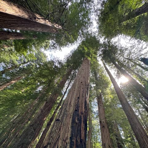 Episode 148: National Parks