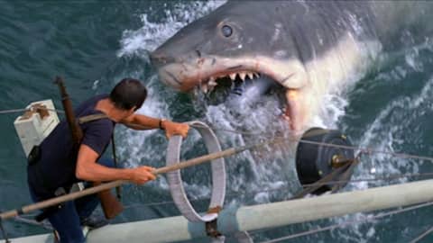 Jay Movie Talk Ep.125 Jaws