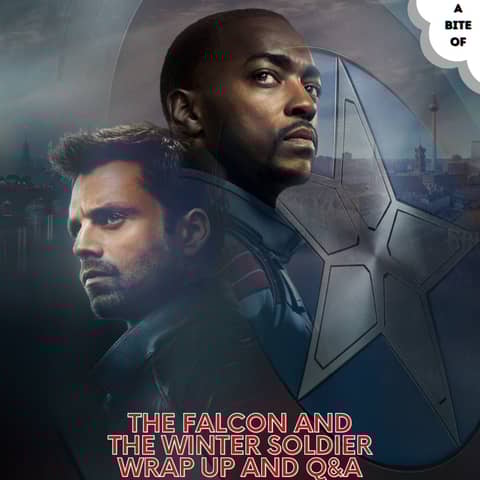 The Falcon and The Winter Soldier Series Wrap Up and Q&A