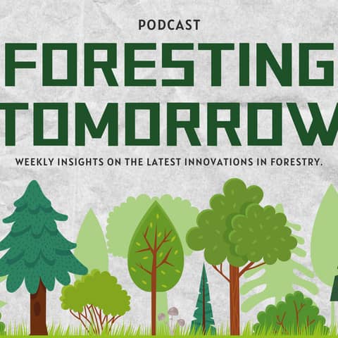 Foresting Tomorrow #1 | The state of the world’s forests 2024 & CLT