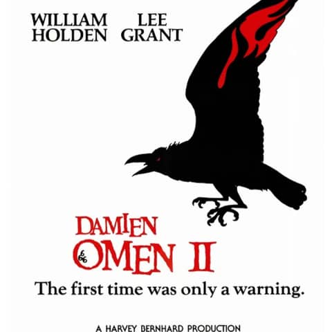 DAMIEN: THE OMEN 2