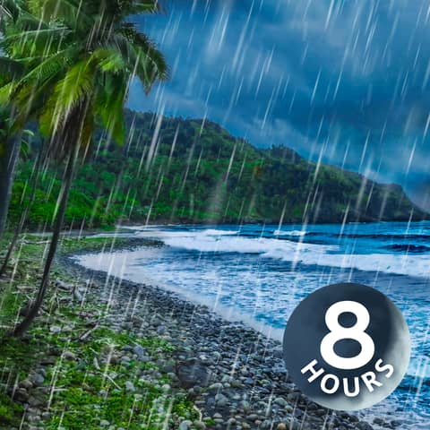 Rainy Day & Ocean Waves for Deep Sleep | 8 Hour Ocean & Rain Sounds