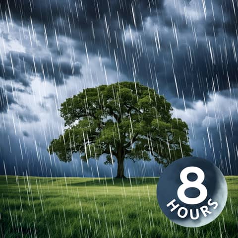 Heavy Rain Sounds for Sleeping | 8 Hour