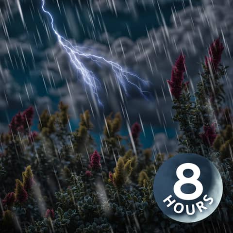 Thunderstorm & Water Sounds for Peaceful Sleep | 8-Hour