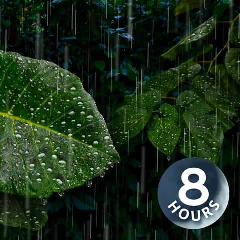 Heavy Rain Sounds Deep in the Rainforest | 8 Hour Rain White Noise for Deep Sleep