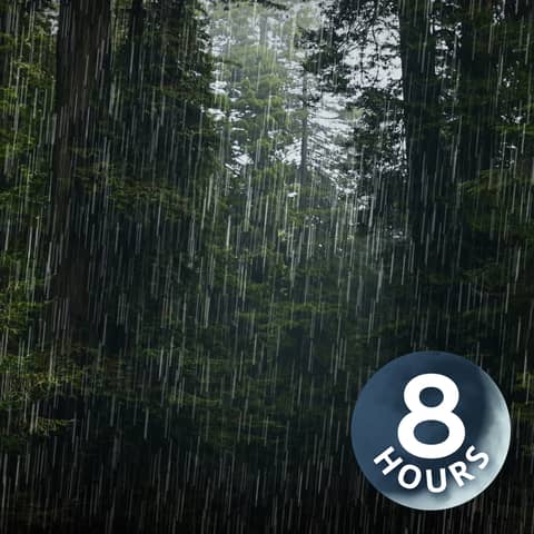 Heavy Rain Sounds for Sleeping & Relaxing | 8-Hour