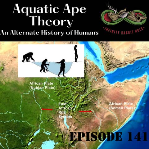 141. The Aquatic Ape Theory