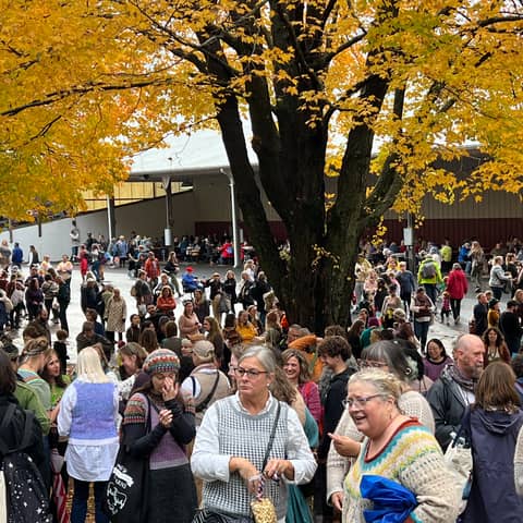 95. Bleats from Sheep & Wool