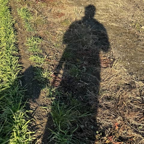 98. Cidiot Unwrapped (Season 6 Finale)