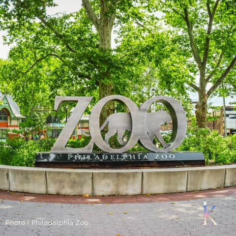 The Philadelphia Zoo | With Dr. Jo-Elle Mogerman, President & CEO of the Philadelphia Zoo