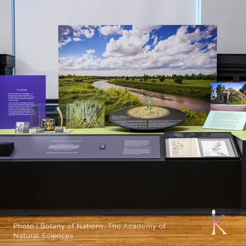 Plants As Portals | Inside Botany of Nations Exhibit