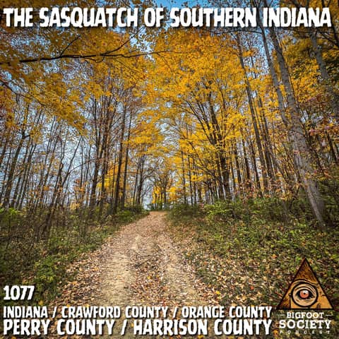 A Couple Shares Years Of Encounters Deep In Indiana’s Hoosier National Forest