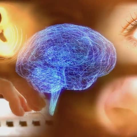 #160 Sentidos sobrehumanos | Los límites de la percepción humana