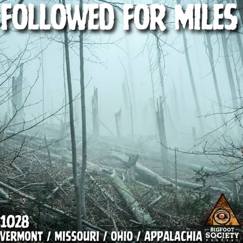 Followed for Miles, Rocks from the Dark, and a Thing at the Tent Door