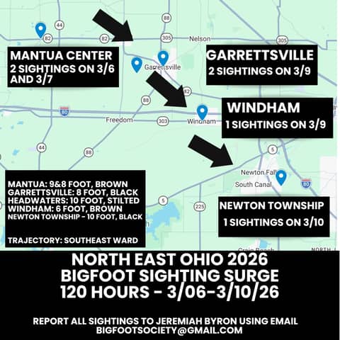 Northeast Ohio Bigfoot Sighting Flap: SPECIAL REPORT