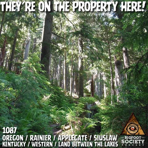 Something Threw a Log at Me in the Oregon Wilderness… and It Got Worse!