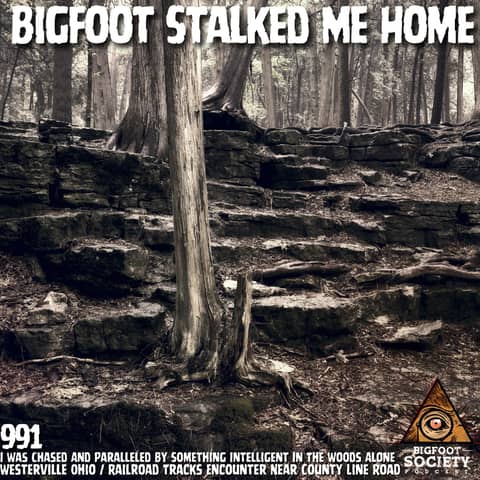 Bigfoot Stalks Teen Along Westerville, Ohio Railroad Tracks In Terrifying Midnight Encounter