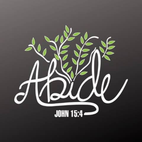 What Does it Mean To Abide In Christ Pt 2