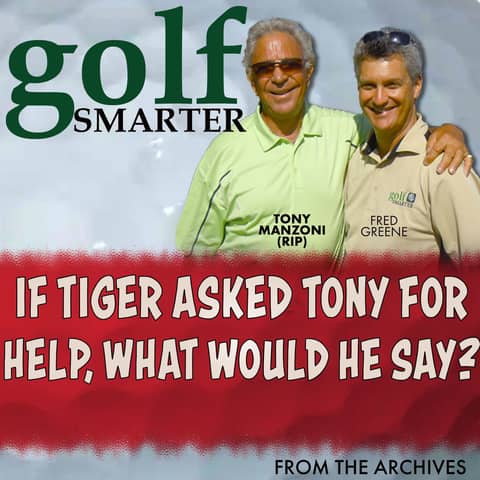 If Tiger Asked Tony Manzoni for Help, What Would He Say?