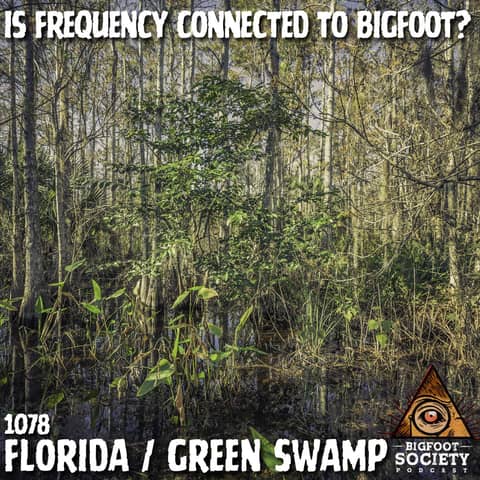 A Florida Researcher Shares Years Of Encounters In The Green Swamp With Sasquatch
