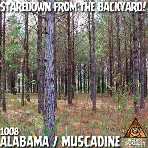 Staredown from the Backyard! | Alabama