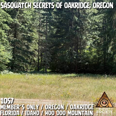 What Happened Seven Miles Up Salmon Creek in Oakridge, Oregon | MEMBERS ONLY PREVIEW