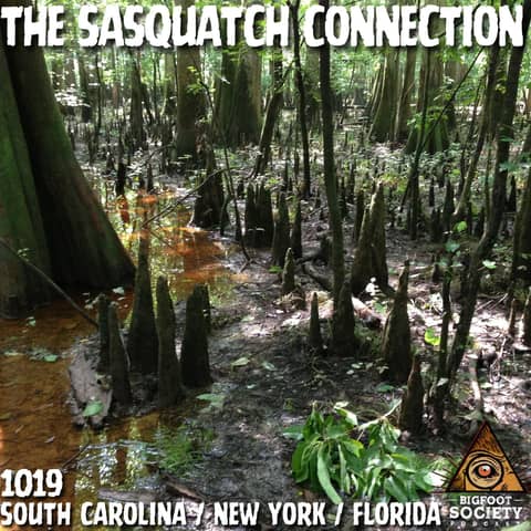 The Thing That Touched the Tent at Seneca Lake