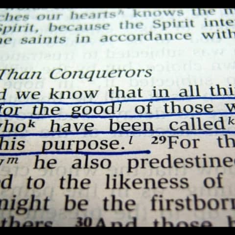 Popular Verses in Romans 8 Continued