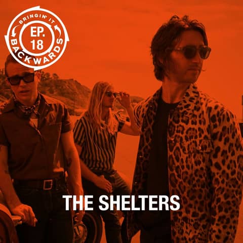 Interview with The Shelters