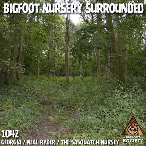 Return of the Bigfoot Nursery | Georgia