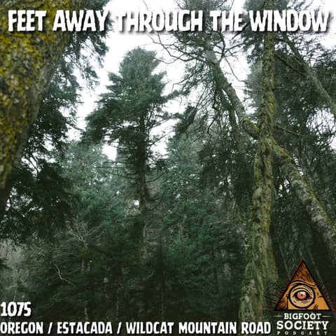 A Man From Sandy, Oregon Shares His Lifelong Encounters With The Sasquatch