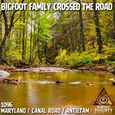 Maryland Bigfoot Family Crosses the Road at Midnight | Doris’ Wild Encounters