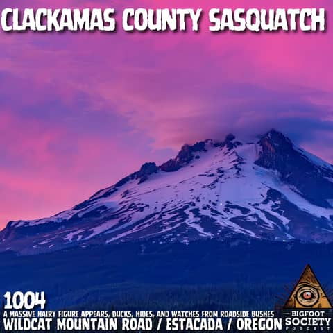 Driver Encounters Hairy Figure on Wildcat Mountain Road in Estacada, Oregon and Freezes | Archives