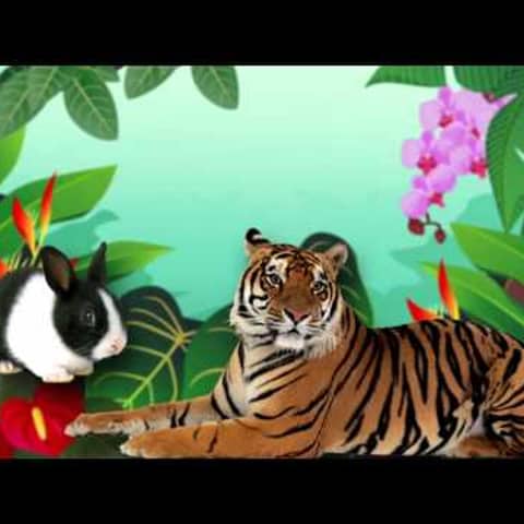 131. Audiocuento El tigre y el conejo Cuento infantil