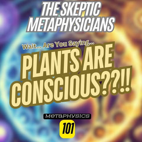 Can Plants Read Your Mind? What Is Plant Consciousness | Metaphysical Moment