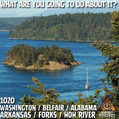 A Scream Shattered the Window — And That Was Just the Beginning