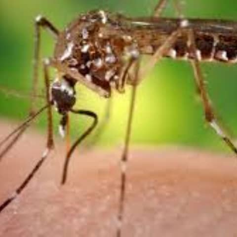 S7 E3: 100 Seconds to Midnight: Global Change and Emerging Disease