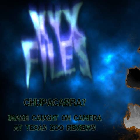 S219 : Armarillo zoo Creature caught on camera? Not quite...