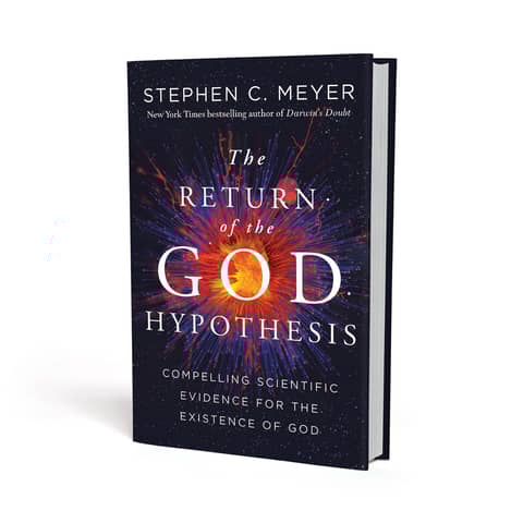 Return of the God Hypothesis