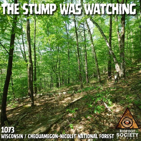 A Northern Wisconsin Landowner Describes The Creature Watching Him Build In The Woods