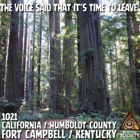 Military Bases, Cemeteries & Deep Woods | Unsettling Bigfoot Encounters