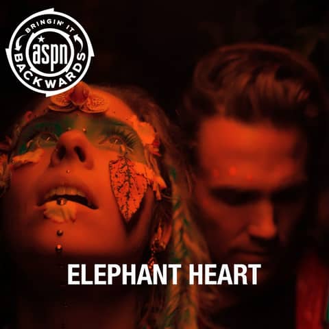 Interview with Elephant Heart