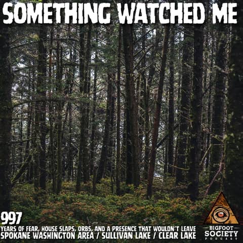 Something Followed Me Home in the Spokane Woods — Years of Fear Changed Me Forever