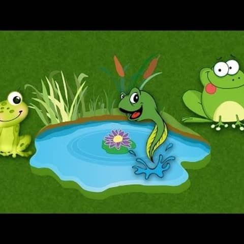 111. El renacuajo quejoso - audio cuento infantil