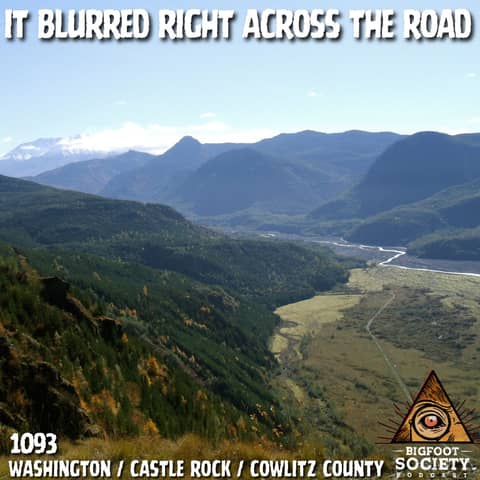 What We Saw on Tower Road Still Doesn’t Make Sense! | Washington