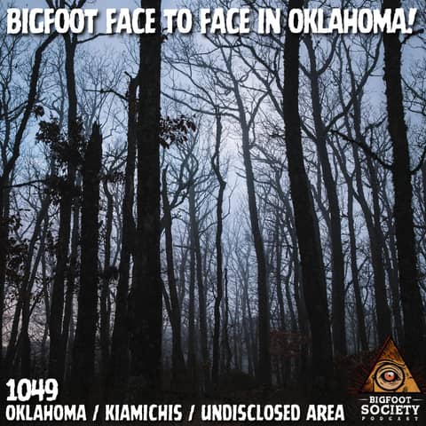 A Face in the Trees: Prolonged Bigfoot Activity in Southeast Oklahoma