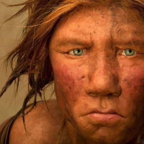 #173 Neardentales | Explorando Su Último Escondite